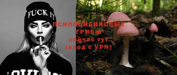 твердый Ладушкин