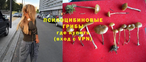 твердый Ладушкин