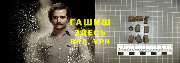 твердый Ладушкин