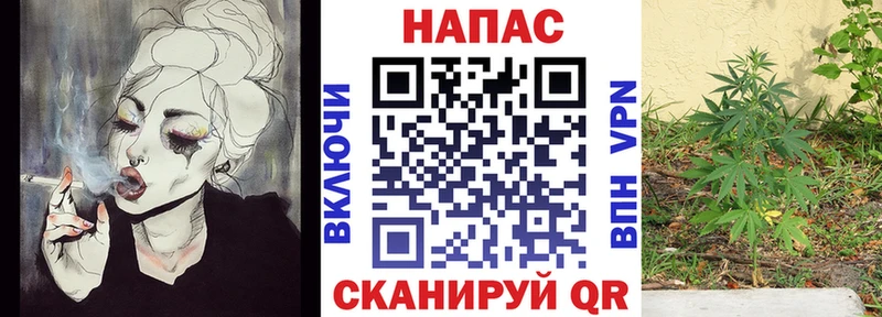 Марихуана Ganja мориарти наркотические препараты Подпорожье наркошоп мега ТОР